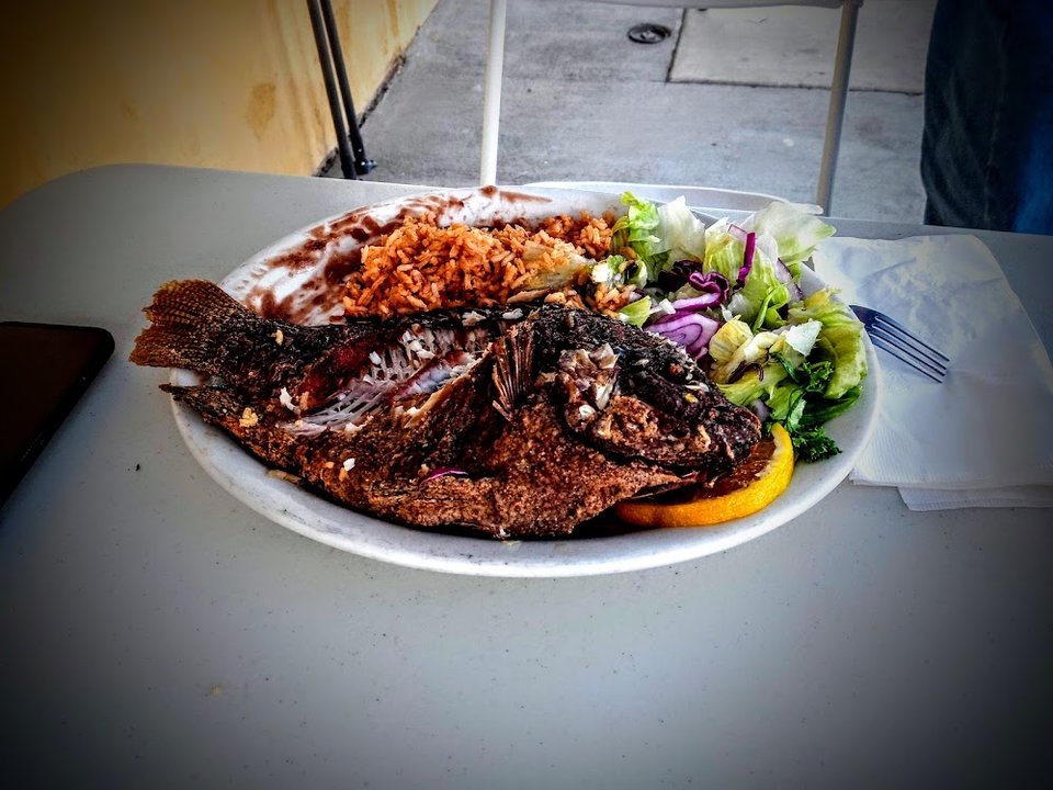 Tilapia